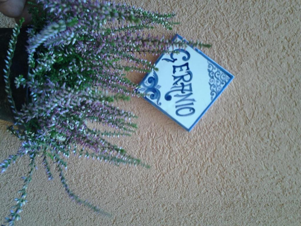 Apartamento Il Cortile Fiorito Trapani Exterior foto